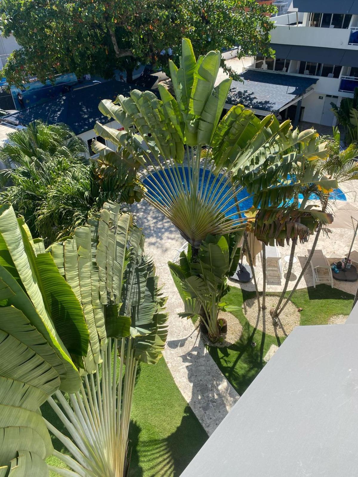 New Garden Hotel Sosúa Exteriér fotografie